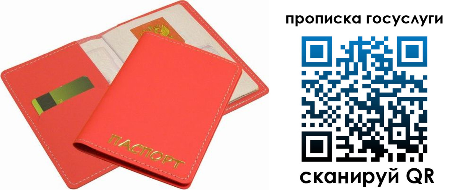 прописка иностранных граждан в Краснодарском крае
